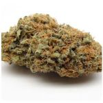 Шишки AK47 (Гидропоника, Бошка) VHQ в Невиномысске Шишки AK47 (Гидропоника, Бошка) VHQ в Невиномысске